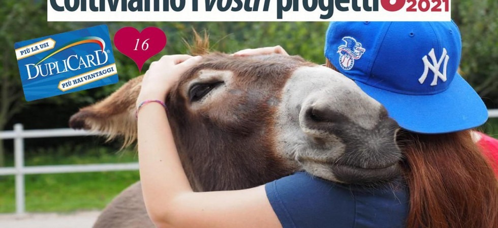 Incontrare gli asini per combattere il bullismo