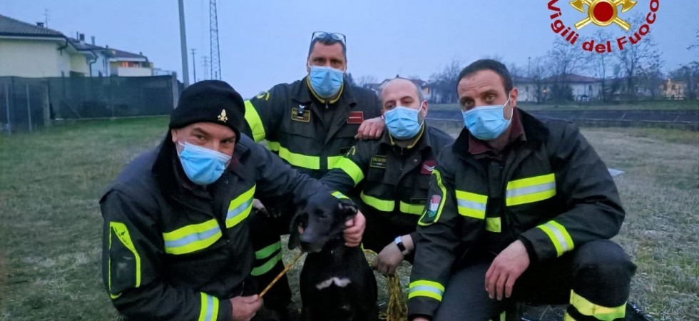 Cade nel canale, si ferisce e non riesce più a uscire