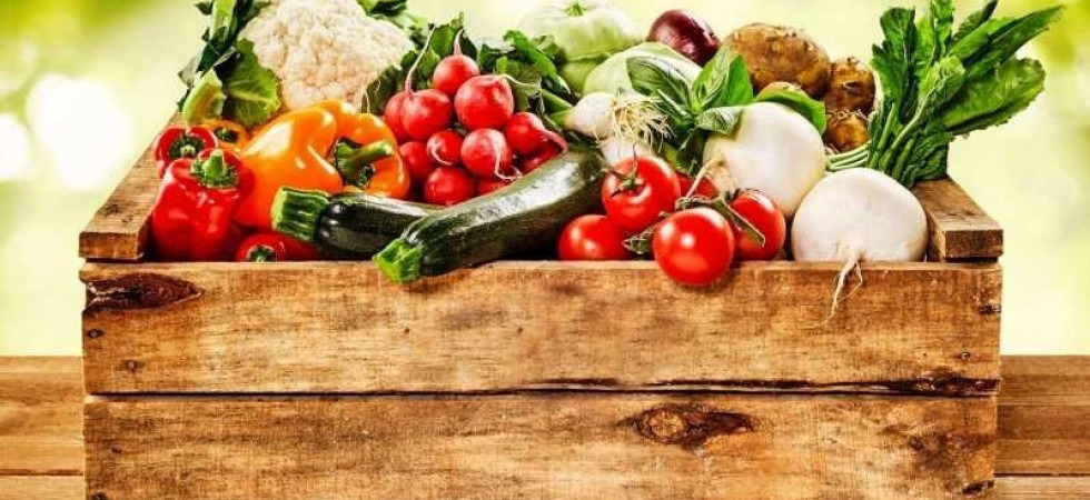 Al via la fase due di "Nutrire Trento": creare una comunità attorno all'agricoltura locale