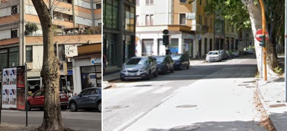 Trento, saranno abbattuti due platani: instabili perché malati