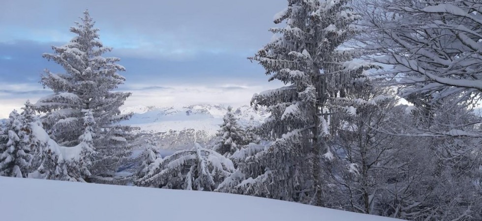 Il freddo di Burian porta temperature sotto lo zero in tutto il Trentino Alto Adige