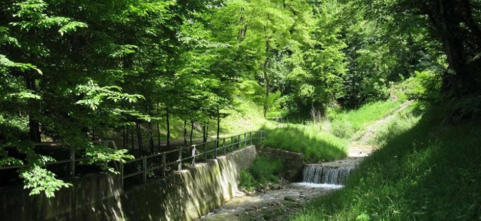 Esposto contro la ciclopedonale a Gocciadoro, Pedrotti: "Distruggerebbe il bosco"