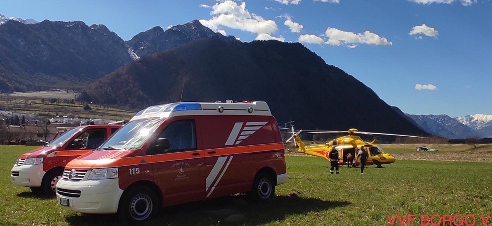 Taglia una pianta in giardino ma viene travolto da un grosso ramo, paura per un 75enne