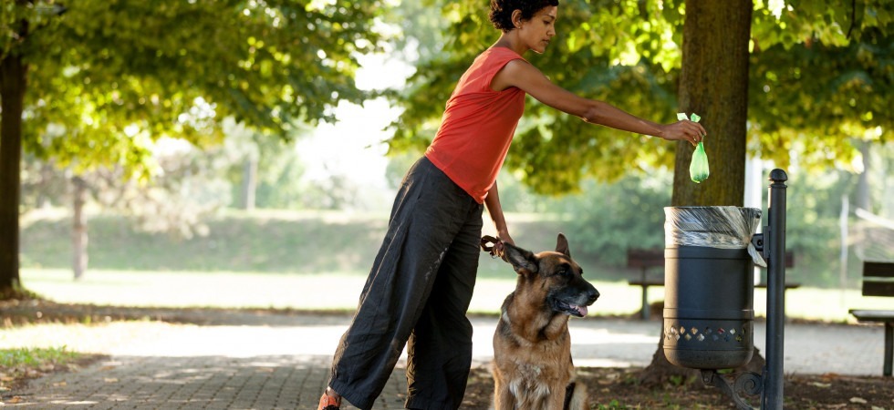 Una “banca del dna” che abbatte il problema dell'abbandono di deiezioni canine del 90%