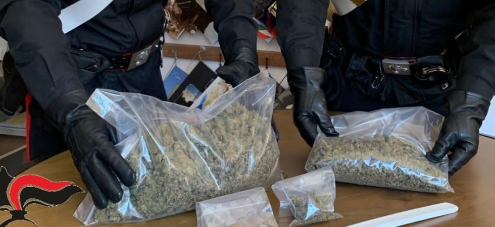 In casa nascondeva mezzo chilo di marijuana e diversi grammi di hashish