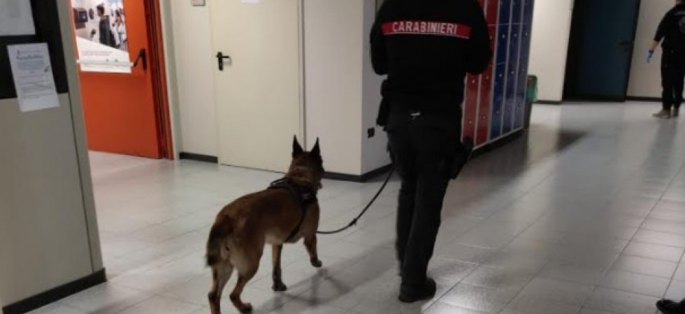 Droga a scuola, intervento dei carabinieri con l'unità cinofila in due istituti: sequestrata della marijuana ad uno studente