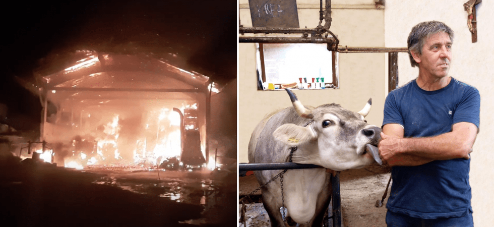 Il fienile dell'azienda Francisci distrutto da un incendio: lanciata una raccolta fondi per ricostruirlo