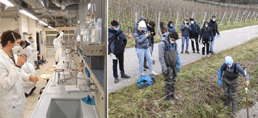 Come riqualificare l'ambiente della Piana Rotaliana?