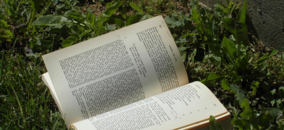 Tra libri ed orti, ecco le prime aule per fare didattica all'aperto