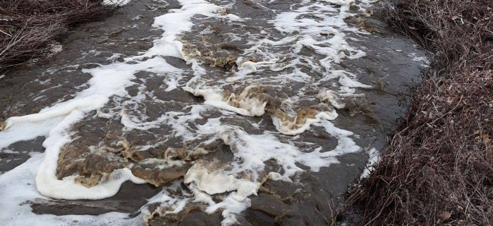 Scarica i liquami nel rio facendo morire tutte le trote, condannato un allevatore della Val di Non