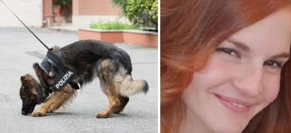 Ricerche della dottoressa Sara Pedri, in campo le unità cinofile