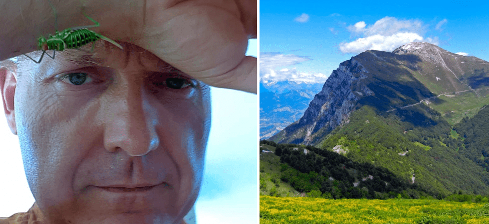Il "canto" di grilli e cavallette dalle quote minori alla cima del Monte Baldo