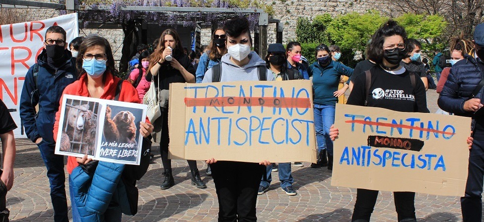 Trasferimento Dj3, gli attivisti di StopCasteller: “Si cerca solo di fare spazio per poter incarcerare altri orsi”