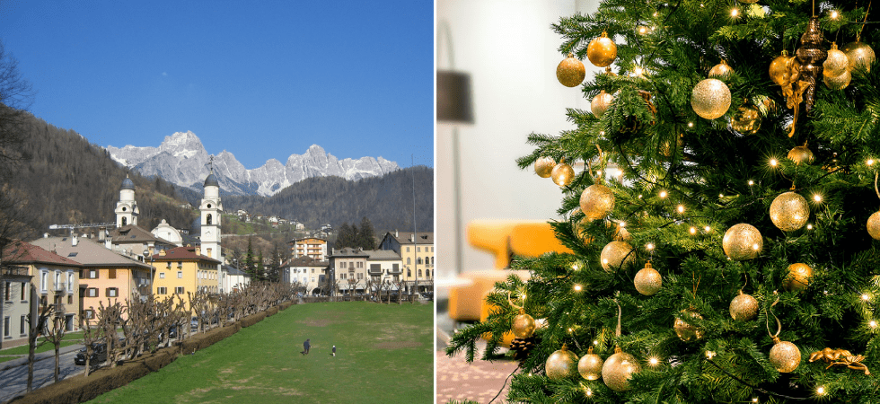 Sessanta alberi di Natale salvati dalla discarica saranno piantati nelle zone colpite da Vaia, nel cuore delle Dolomiti
