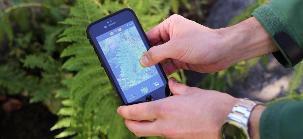 Arriva "Terra-Aria-Acqua", il progetto per monitorare e tutelare la biodiversità del Trentino