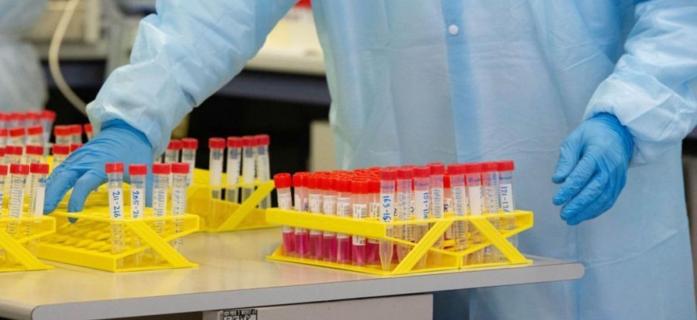 Coronavirus, nuovi casi di variante in Alto Adige: rilevati 12 casi di nigeriana e 1 di sudafricana