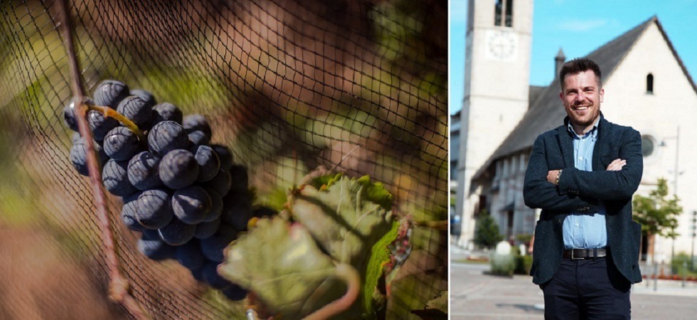 Vino della val di Non, Un'opportunità di promozione del territorio''