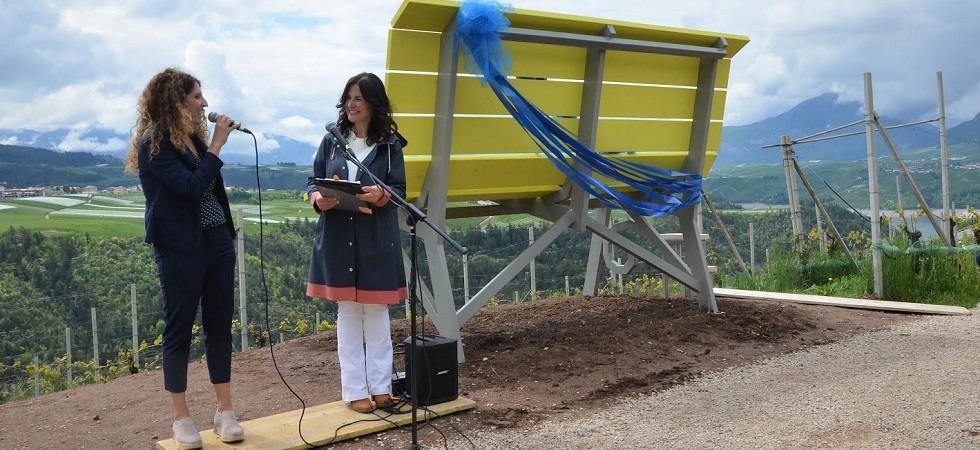 La Big bench arriva in Trentino, una panchina gigante tra i filari del Groppello in val di Non