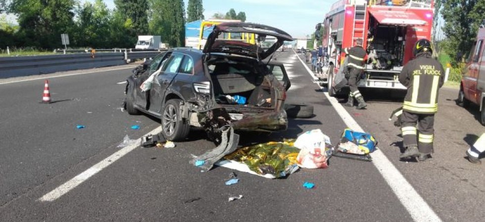 Capriolo entra in Autostrada e viene centrato da un'auto, sfonda il parabrezza e attraversa il mezzo