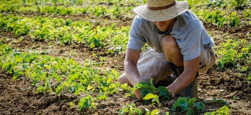 Arriva "Il contadino di scorta": un servizio di mutuo aiuto per la comunità agricola
