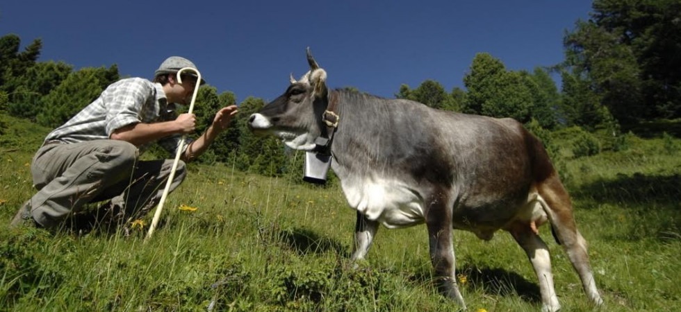 Cibo buono, pulito e giusto'', Slow Food sbarca nelle valli di Fiemme e Fassa
