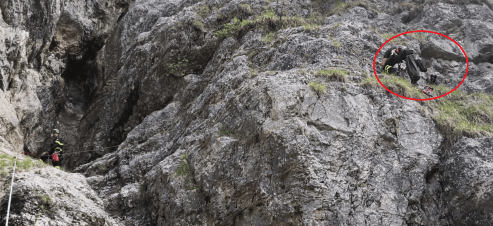 Il cagnolino insegue un ungulato e resta bloccato tra le rocce