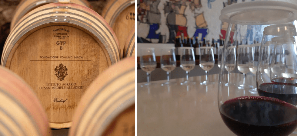Al via la quarta edizione del concorso sui vini del Trentino - Alto Adige
