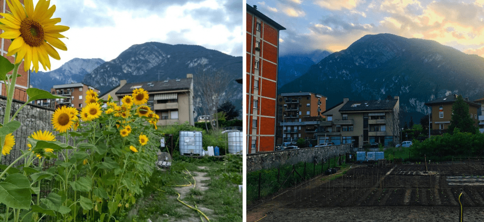 Prosegue la collaborazione tra Comune e "Orto Aperto", dove oltre agli ortaggi si coltivano relazioni tra persone