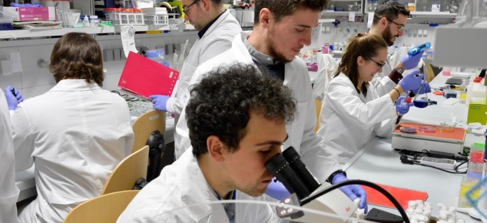 Importante scoperta dell'Università di Trento: trovata l'origine di un tumore cerebrale che colpisce bambini e bambine