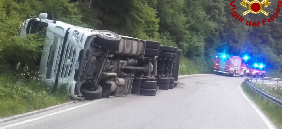 Cerca di evitare un cervo, camion carico di legname si rovescia