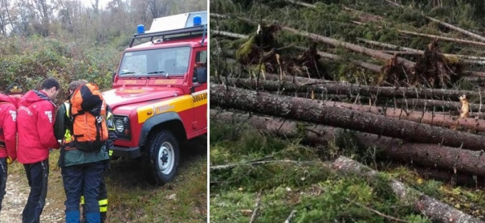 Madre e figlia di 10 anni bloccate dagli schianti di Vaia durante un'escursione, portate in salvo dal soccorso alpino