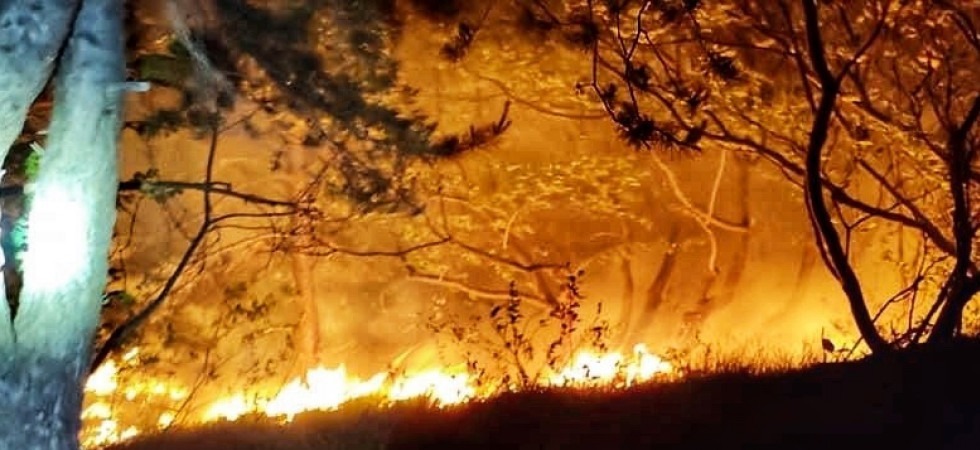 Incendio boschivo in Alto Adige, vigili del fuoco al lavoro in una zona impervia