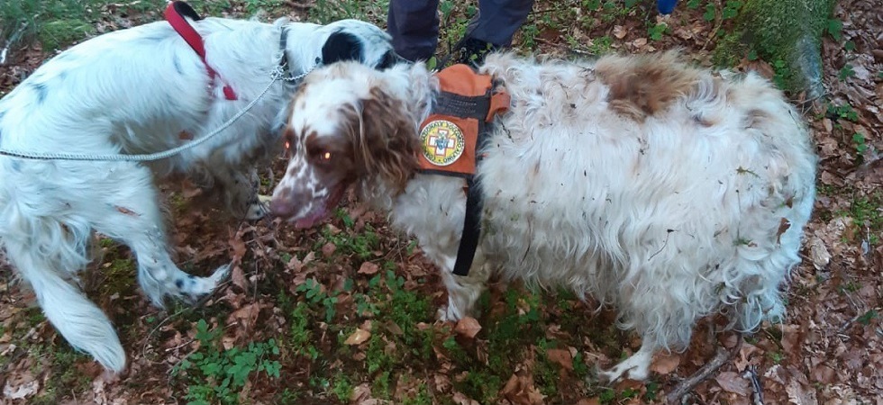 Due cani recuperati dai soccorritori che si calano per 25 metri nella forra