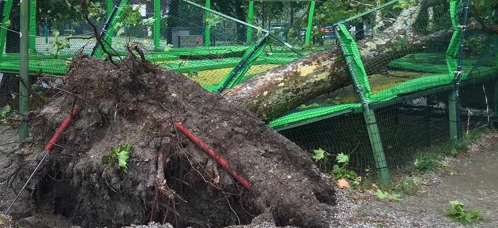 Il parco giochi viene travolto dagli alberi sradicati dalle fortissime raffiche di vento
