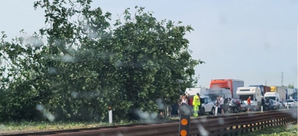 Maltempo, grandine e raffiche di vento: un albero crolla sull'A22, traffico bloccato