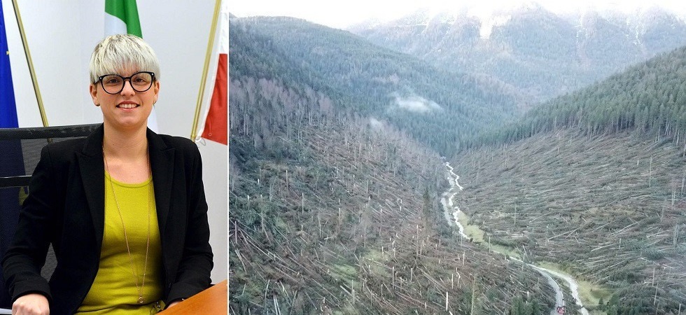 In arrivo 15 milioni per i boschi trentini: “Aumentare la resilienza delle aree forestali dopo Vaia”