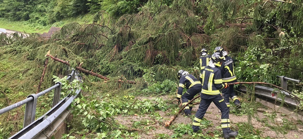 Gli alberi crollano in serie e invadono la strada provinciale a Brentonico