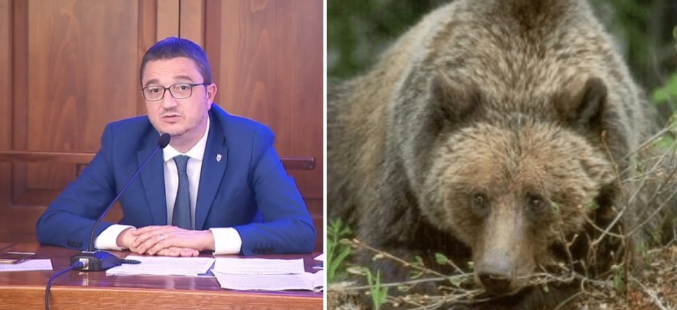 Orso M62, Fugatti: Pronti all'abbattimento se la campagna di dissuasione non avrà efficacia''