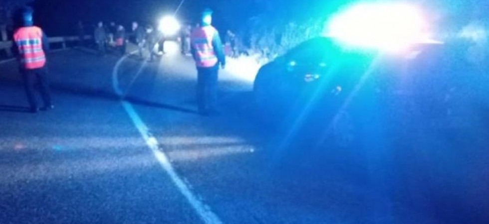 Si schianta con la moto contro un cervo, 41enne trasportato in elicottero all'ospedale