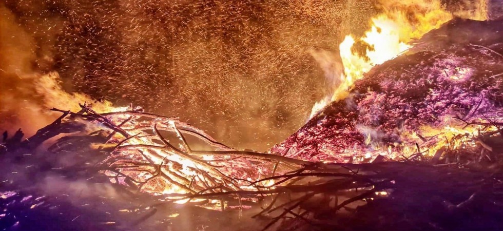 Le fiamme rischiano di arrivare al bosco, allarme incendio nella notte a monte San Vigilio