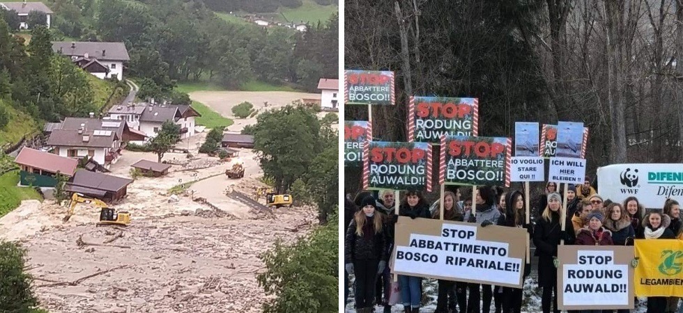 “Non distruggete il bosco, ci protegge dalle inondazioni”, gli ambientalisti contro i nuovi capannoni industriali a