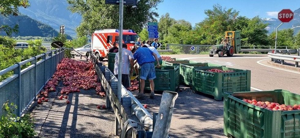 Prende male la curva e il rimorchio del trattore si ribalta: l’intero carico di mele finisce sull’asfalto
