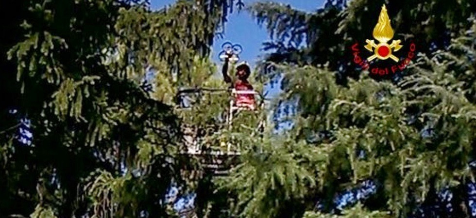 Foto d'archivio Si arrampica sull'albero per recuperare il drone ma precipita per circa 5 metri