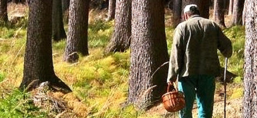 Un fungaiolo scivola e sbatte violentemente a terra a 1.300 metri