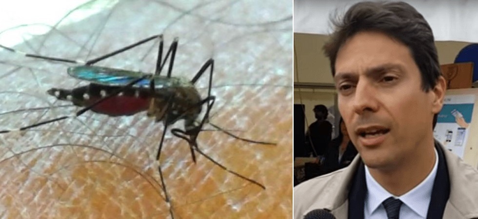 Zanzara giapponese, Zeni: “La Giunta pensa di attivare un piano per prevenire la diffusione sul territorio?”