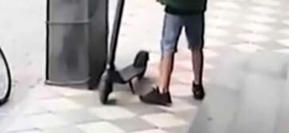 Foto da internet Foto da internet