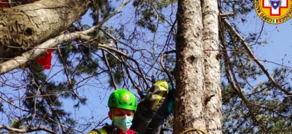 Precipita con il parapendio su un albero e rimane bloccato tra i rami, paura per un 46enne