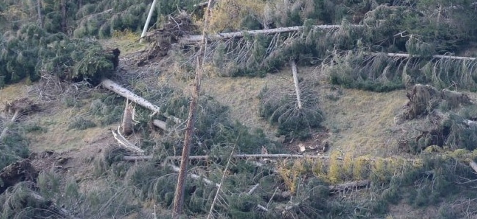 Bloccati dagli alberi schiantati da Vaia e non trovano più il sentiero, 3 escursionisti salvati dal Soccorso alpino