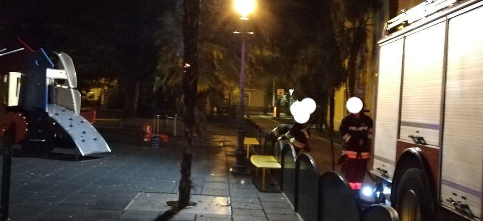 Foto Tony Pula L’allarme nella notte per la palma che brucia al parco giochi: si cercano i responsabili dell'atto vandalico