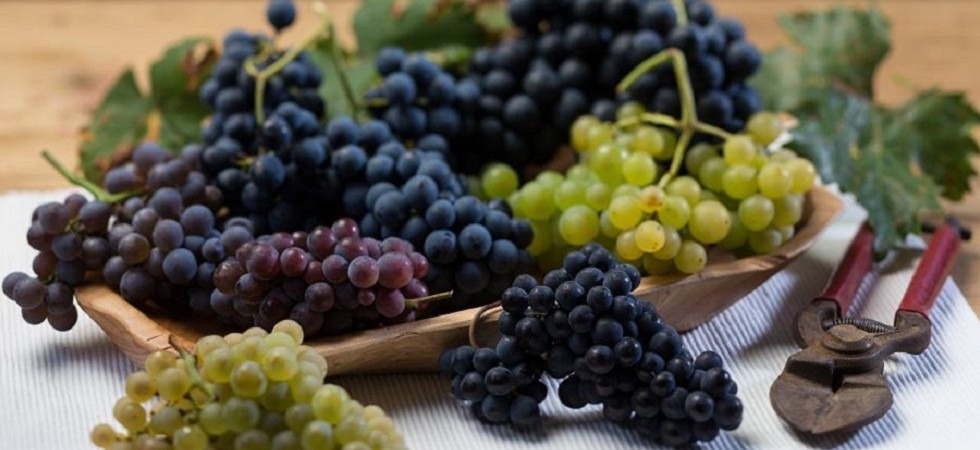 Sapori d'autunno, un weekend di festa per valorizzare i prodotti del Monte Baldo